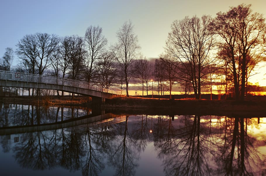 Body of Water Under Golden Hour, bridge, dawn, environment, evening HD wallpaper