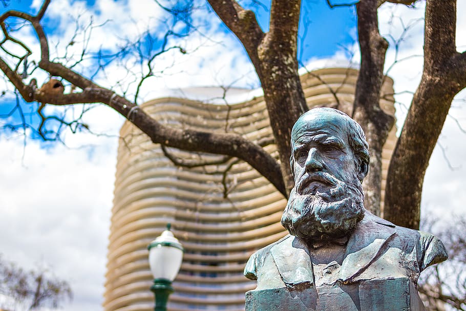 Man's Bus Statue Under the Bare Tree, art, image, sculpture, human representation HD wallpaper