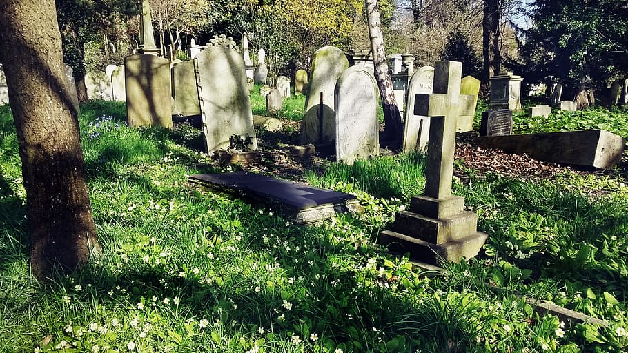 cemetery, graveyard, cross, spring, grass, nature, tree, plant HD wallpaper