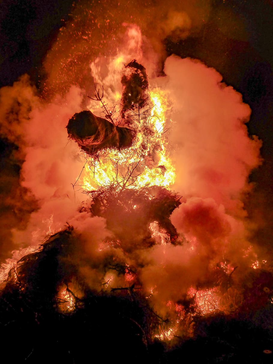 forest fire at night, flame, burning, heat - temperature, smoke - physical structure HD wallpaper