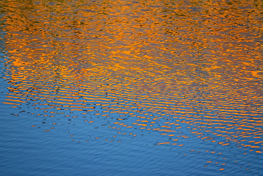 water, ripple, reflection, pond, surface, liquid, fluid, waves HD wallpaper