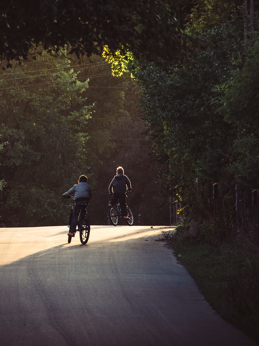 cycle, cyclist, human, activity, road, street, transportation HD wallpaper