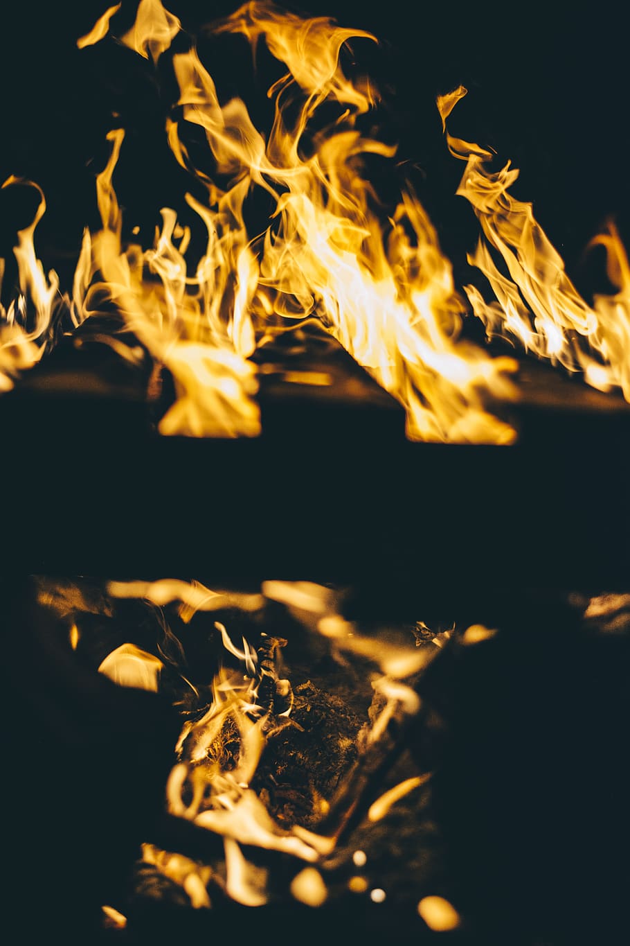 bonfire, flame, camping, mountain, nature, outdoors, plant, flower HD wallpaper