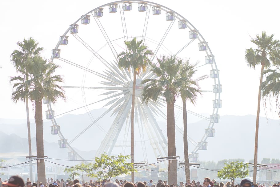 indio, united states, ferris wheel, california, music, coachella, HD wallpaper