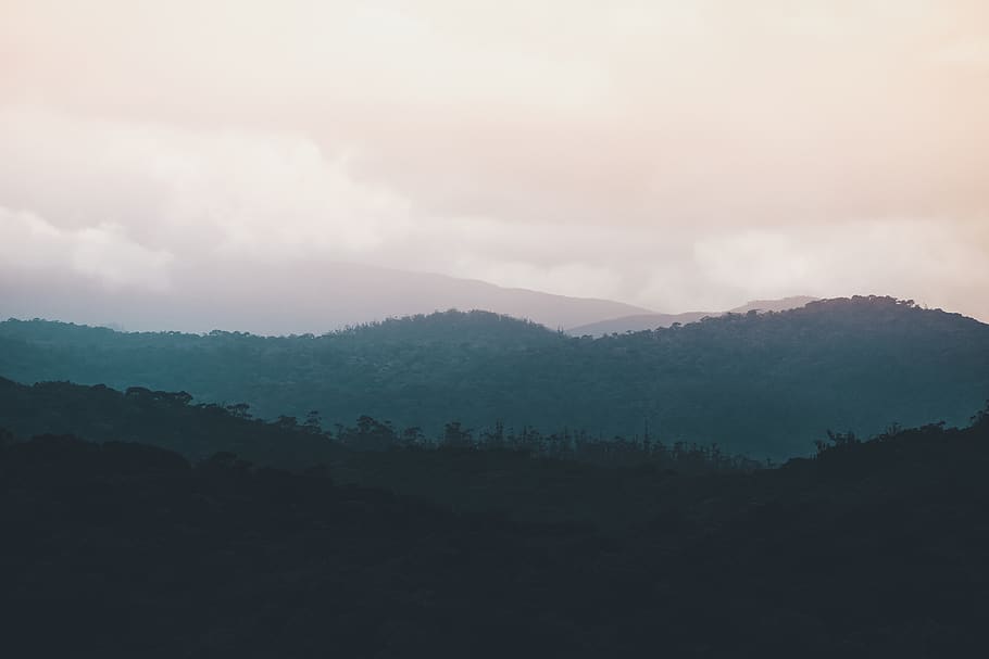 HD wallpaper: sri lanka, nuwara eliya, forest, trees, nature, amaze ...