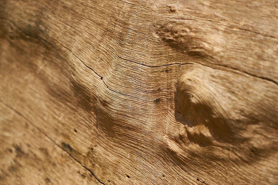 wood, tree, texture, abstract, textured, backgrounds, pattern, HD wallpaper