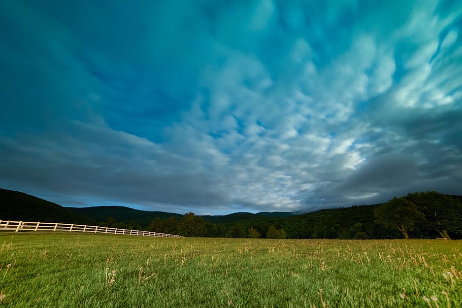 Green Grass Field, clouds, lawn, meadow, sky, cloud - sky, environment HD wallpaper