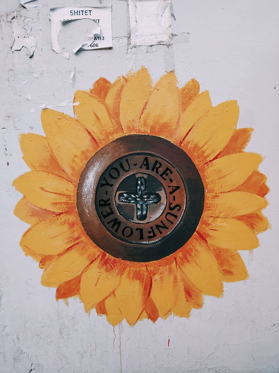sunflower painting, wall clock, albania, tirana, street, graffiti HD wallpaper