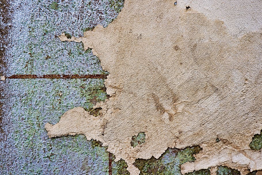 leaf, plant, rust, rug, diagram, map, ground, stain, plot, atlas HD wallpaper