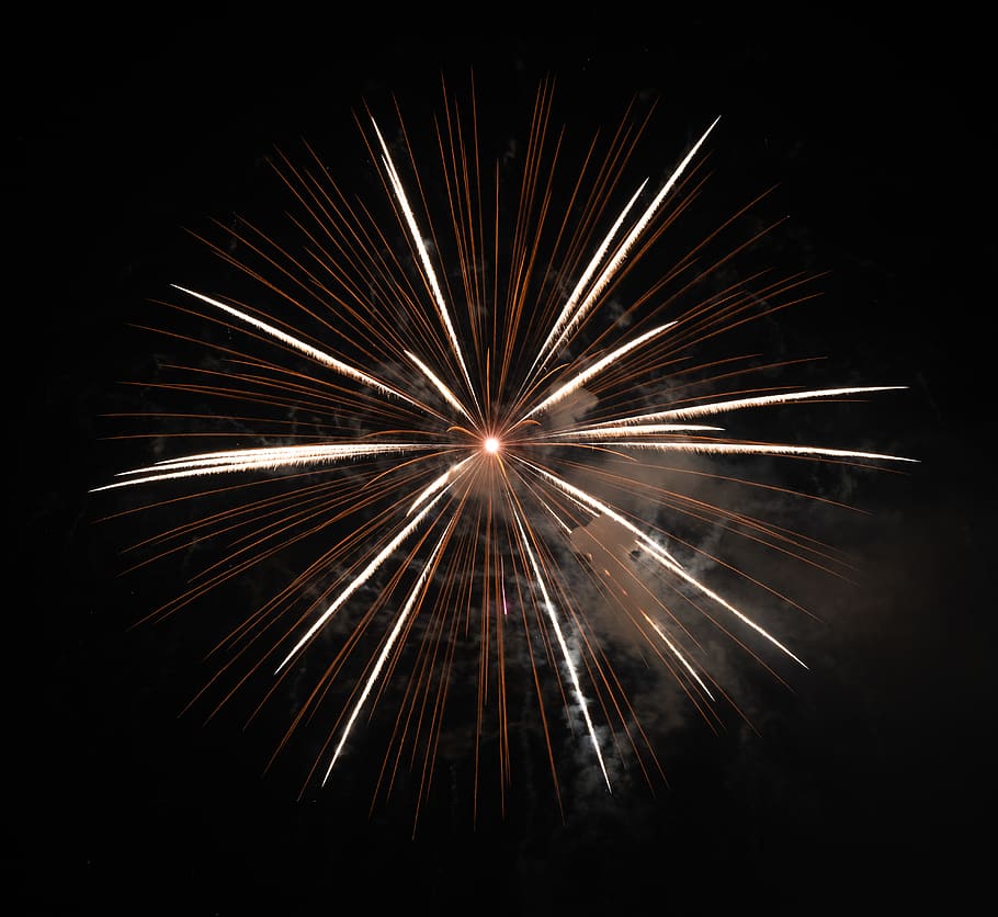 brown fireworks, nature, outdoors, night, cat, animal, pet, mammal HD wallpaper