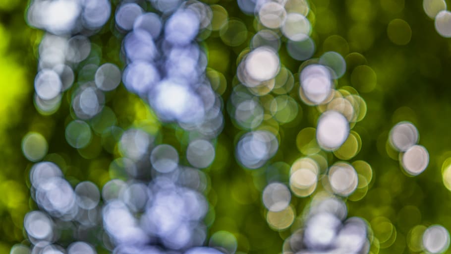 Light Bokeh Photography, blur, circles, colors, lights, pattern HD wallpaper