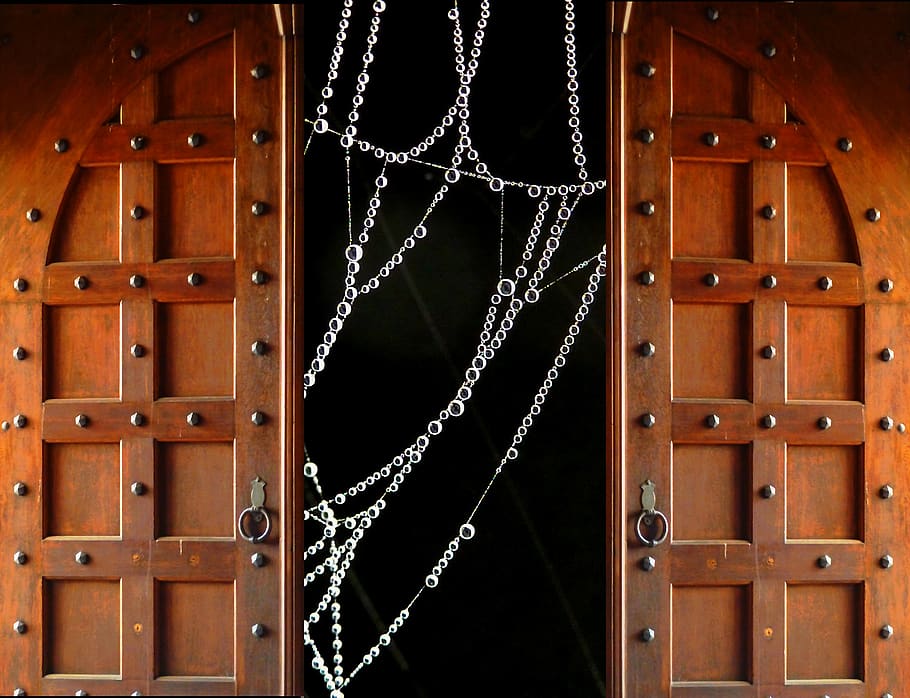 door, goal, cobweb, input, architecture, portal, old, church portal HD wallpaper