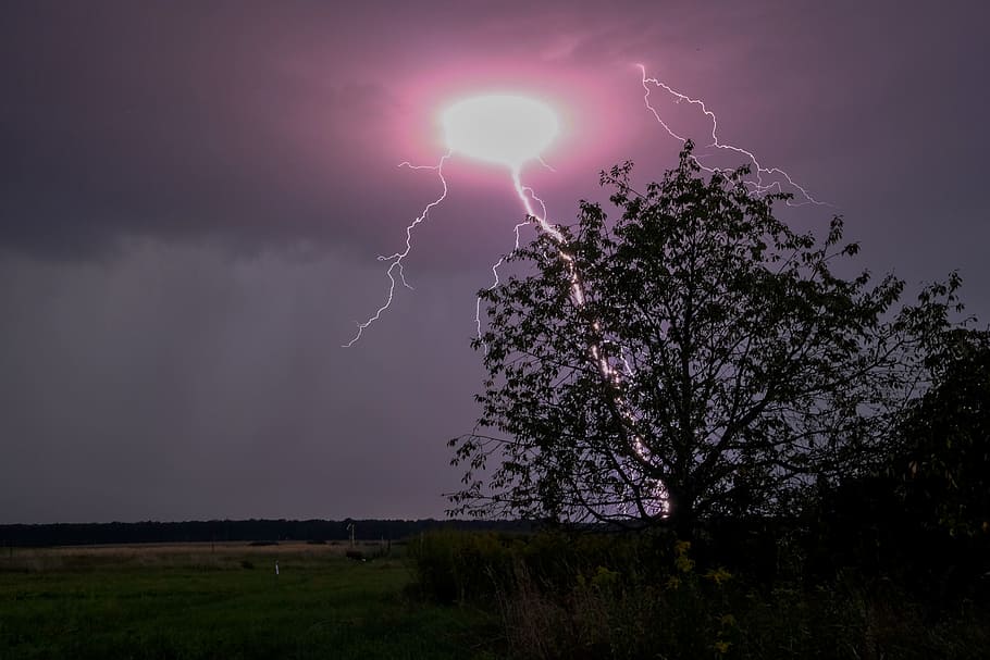 lightning strike, sky, tree, silhouette, field, grass, rain, thunder HD wallpaper