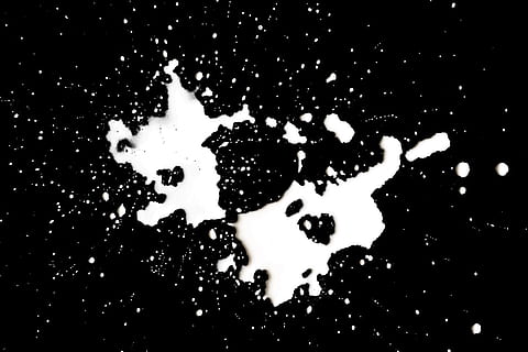 spots, white, black, splat, splatter, milk, paint, texture HD wallpaper