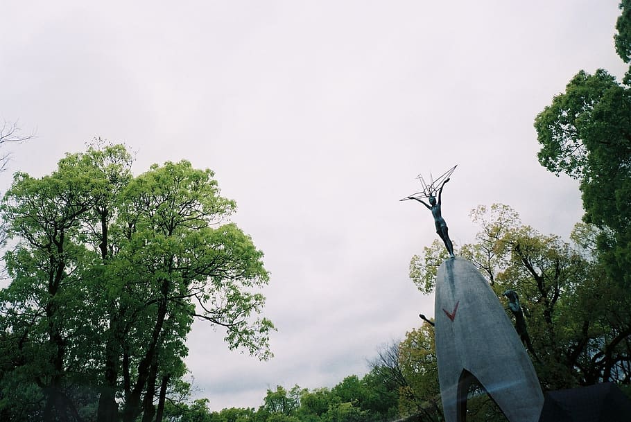 tree, plant, sky, growth, nature, low angle view, day, no people HD wallpaper