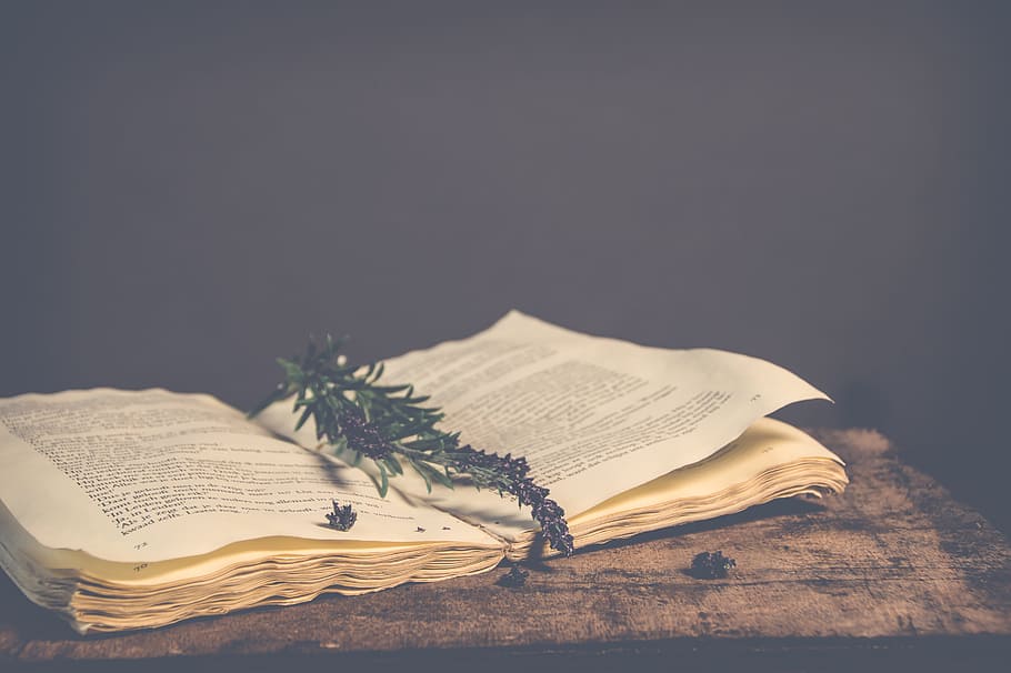 antique, book, table, lavender, read, write, words, rustic HD wallpaper