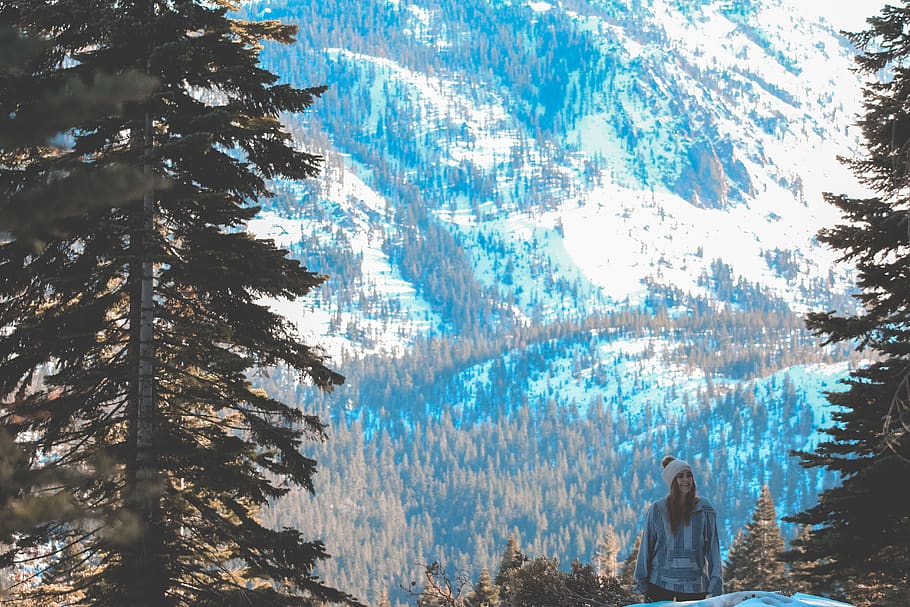 Mountain Landscape, human, person, nature, outdoors, tree, plant HD wallpaper