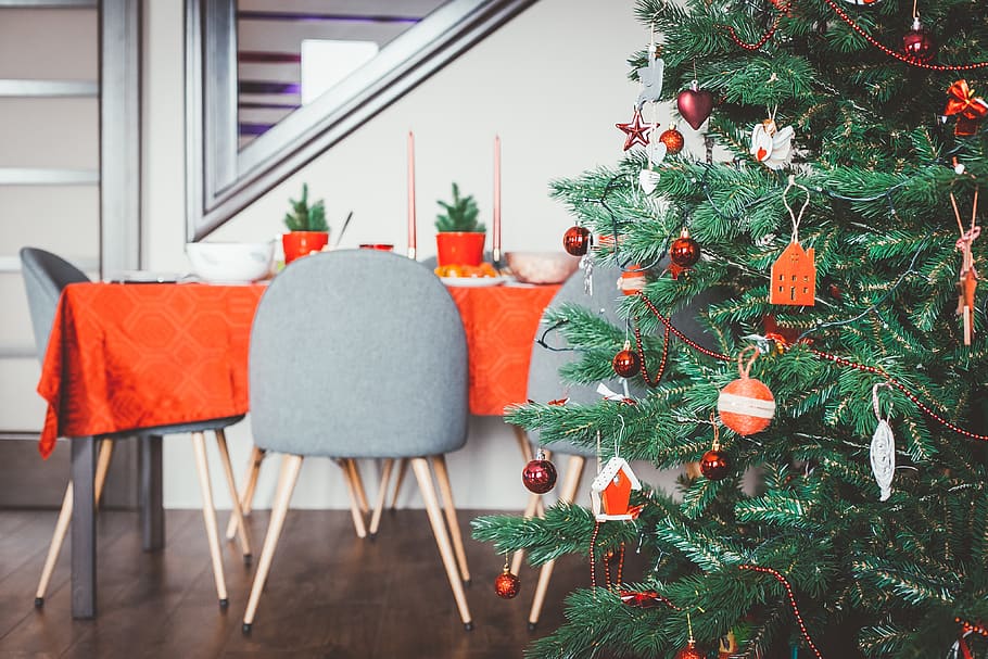 Christmas tree near table, celebration, decoration, plant, holiday HD wallpaper