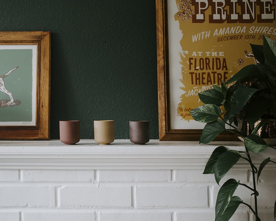 assorted-colored ceramic pots, plant, leaf, potted plant, no people HD wallpaper