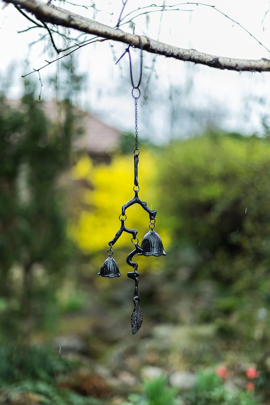 Black Bell Hanging on Root, blur, branch, bright, close-up, color HD wallpaper