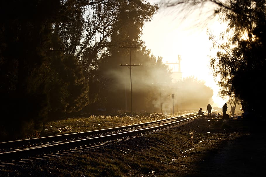 sunrise, train, immigrants, shadows, tree, rail transportation HD wallpaper