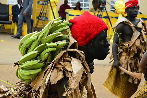 cameroon, kumba, roots, dancer, bafaw, tradition, day, focus on foreground HD wallpaper