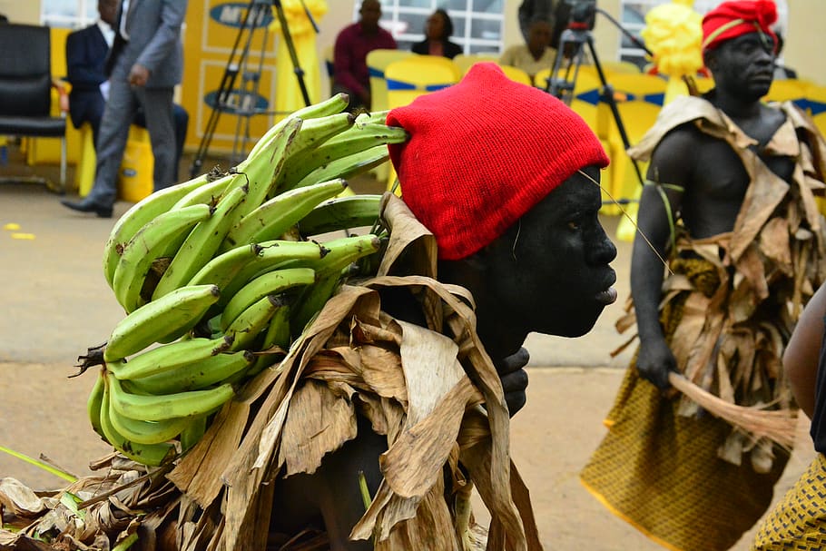 cameroon, kumba, roots, dancer, bafaw, tradition, day, focus on foreground HD wallpaper
