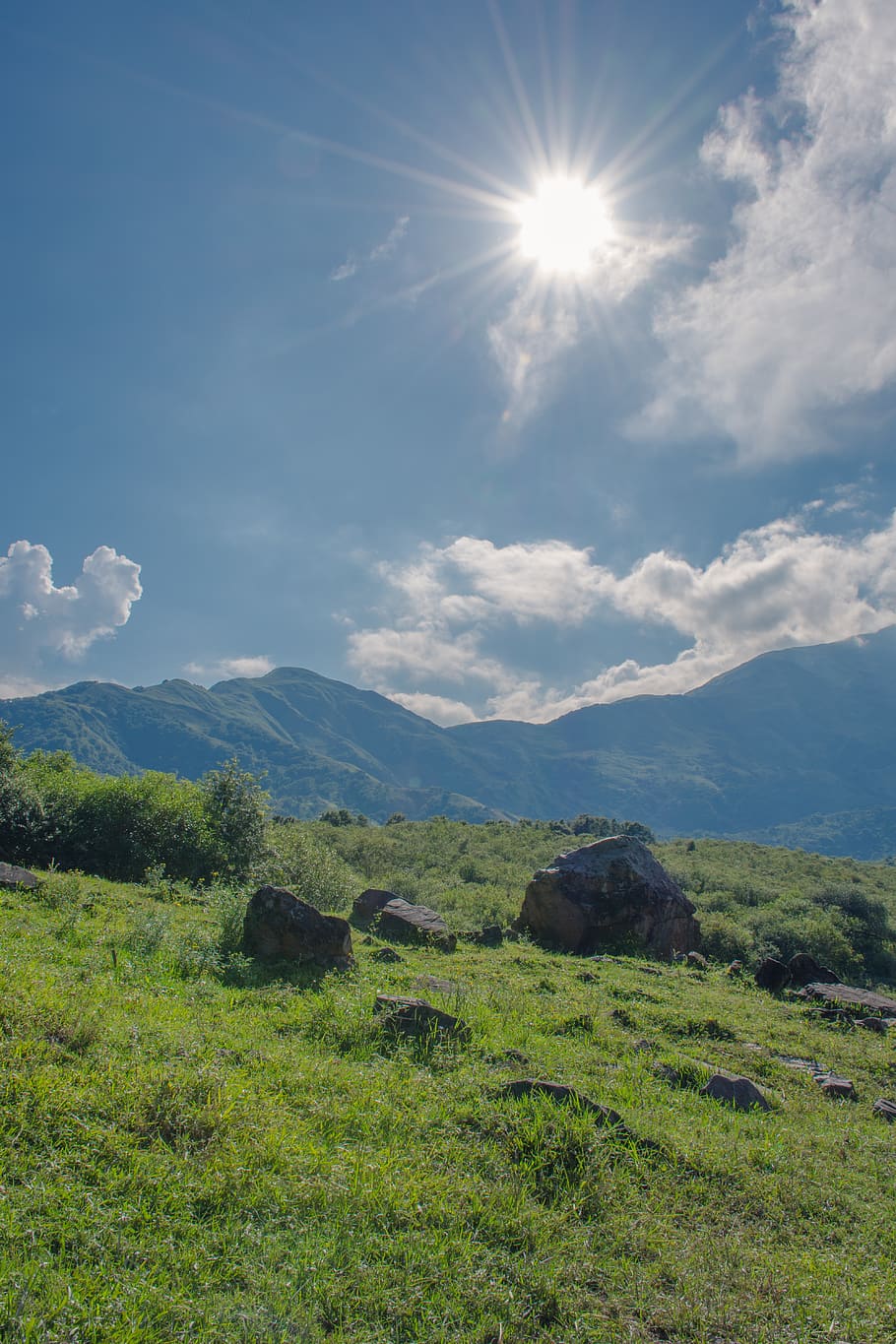 sun, sky, green, grass, scenics - nature, environment, landscape HD wallpaper