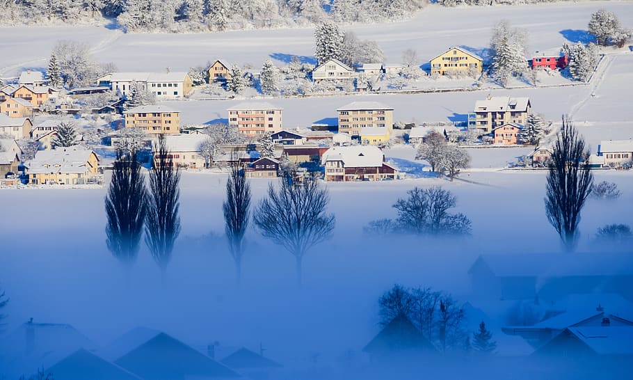 village, mist, snow, winter, cold, tree, aurora, frozen, atmosphere, HD wallpaper