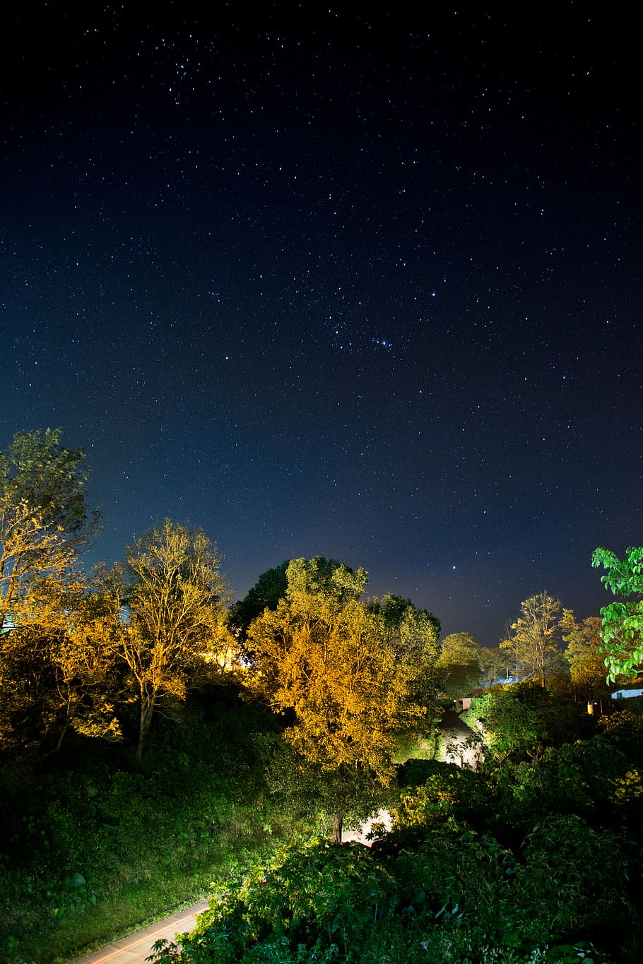 High-angle Photography of Trees Beside Road, dark, grass, landscape HD wallpaper