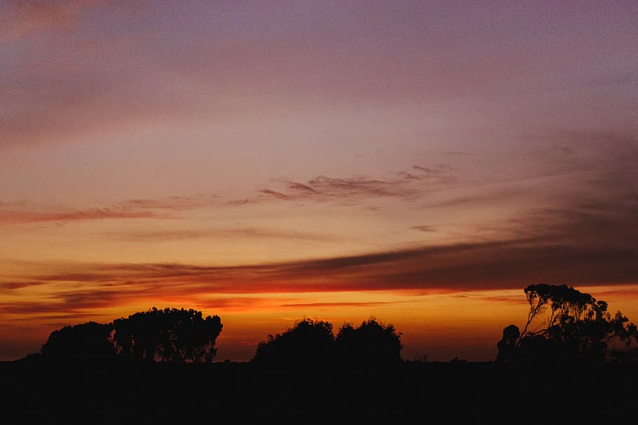 sunset, tree, nature, trujillo, clouds, trees, sky, night, evening HD wallpaper