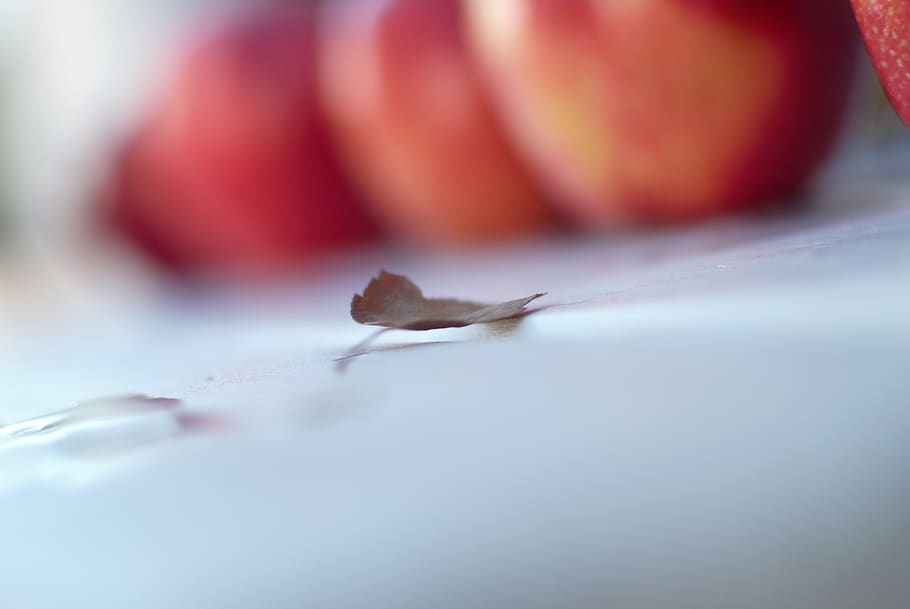 leaf, leaves, autumn, fall, apples, bokeh, living, life, outdoors HD wallpaper