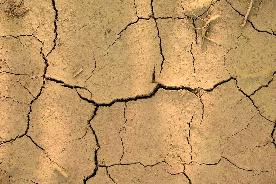 earth, dry, clay, drought, close up, structure, texture, cracks HD wallpaper