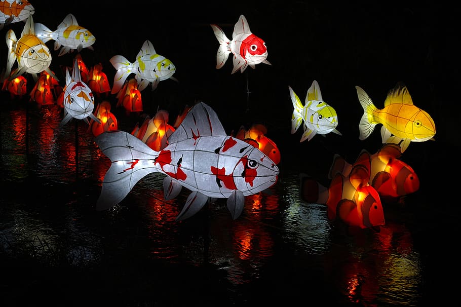 flame, color, lighting, art, in the dark, lantern, party, lamp HD wallpaper