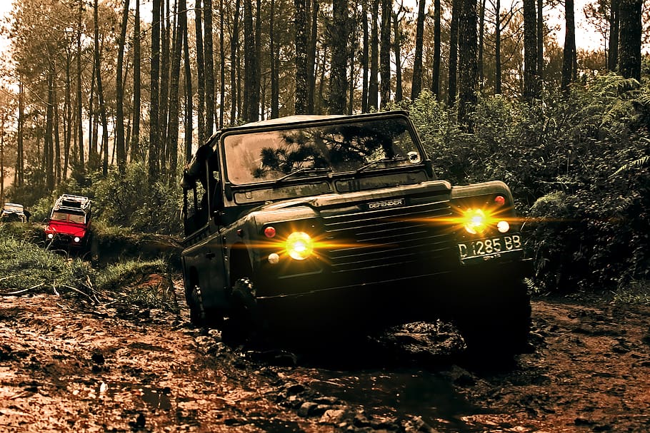 Black Suv, automobile, daylight, driver, environment, forest HD wallpaper