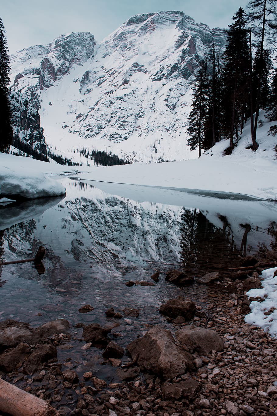 Mountain Covered with Snow, adventure, cold, daylight, evergreen HD wallpaper
