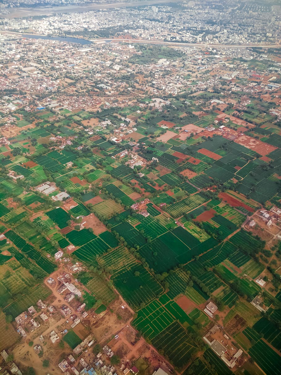 green grass field, nature, outdoors, landscape, scenery, aerial view HD wallpaper