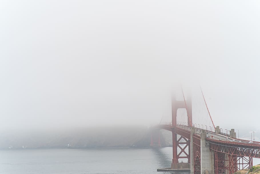 fog, land, plants, grass, river, lake, bridge, steel, concrete HD wallpaper
