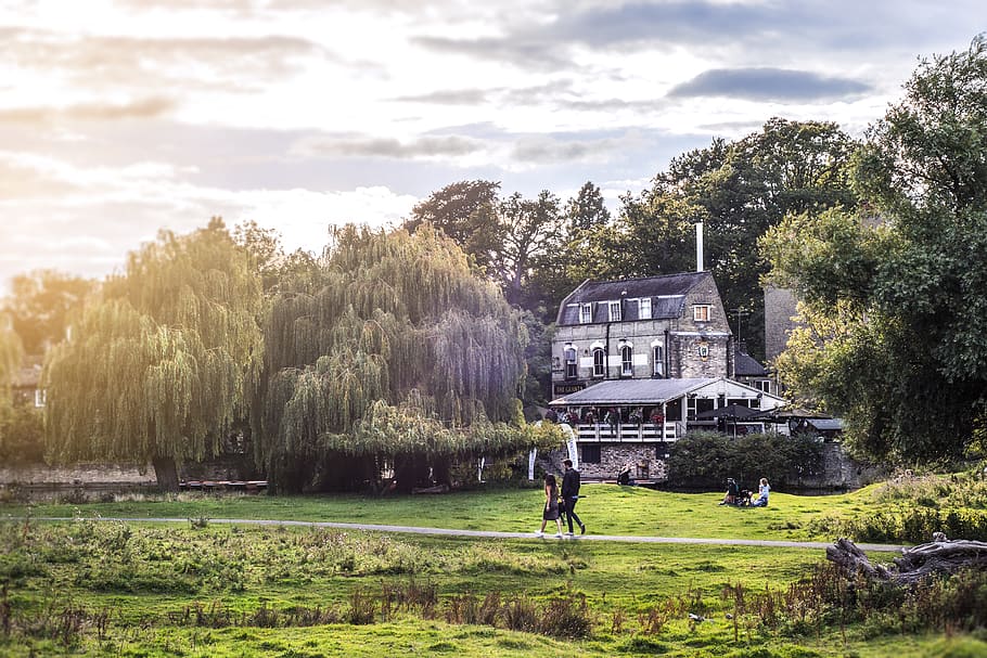 tree, hiking, cambridge, idyllic, ideal, restaurant, wanderlust HD wallpaper