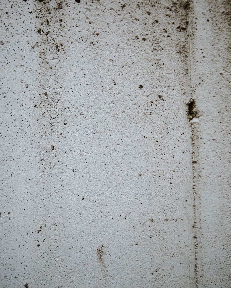 grey, gray, black, white, mold, speckled, texture, wall, type