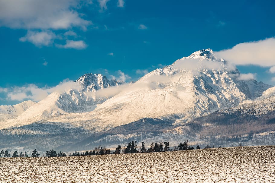 slovakia, winter, tatra mountains, fields, snow, sky, scenics - nature HD wallpaper