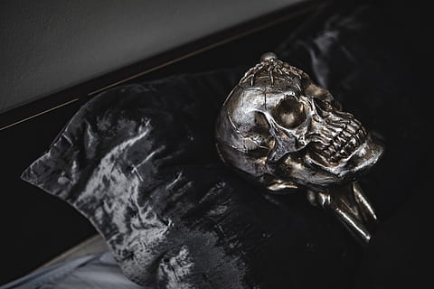 Halloween Skulls Decorations, autumn, fall, spooky, scary, indoors HD wallpaper