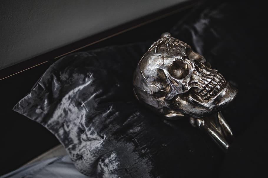 Halloween Skulls Decorations, autumn, fall, spooky, scary, indoors HD wallpaper