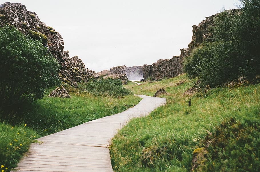 wood, path, trail, nature, outdoors, grass, fields, mountains HD wallpaper