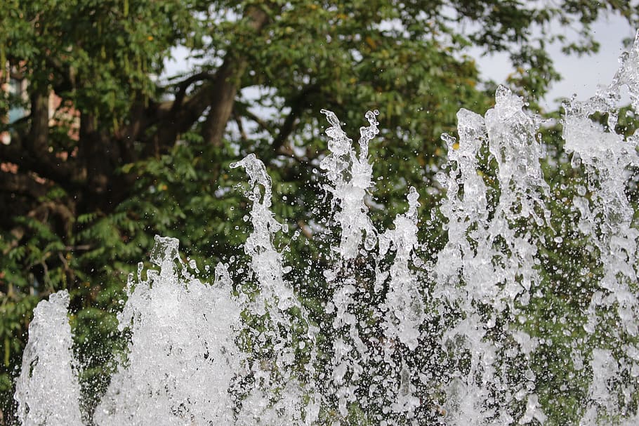 netherlands, amsterdam, sprinkler, tree, sports, water, lake HD wallpaper