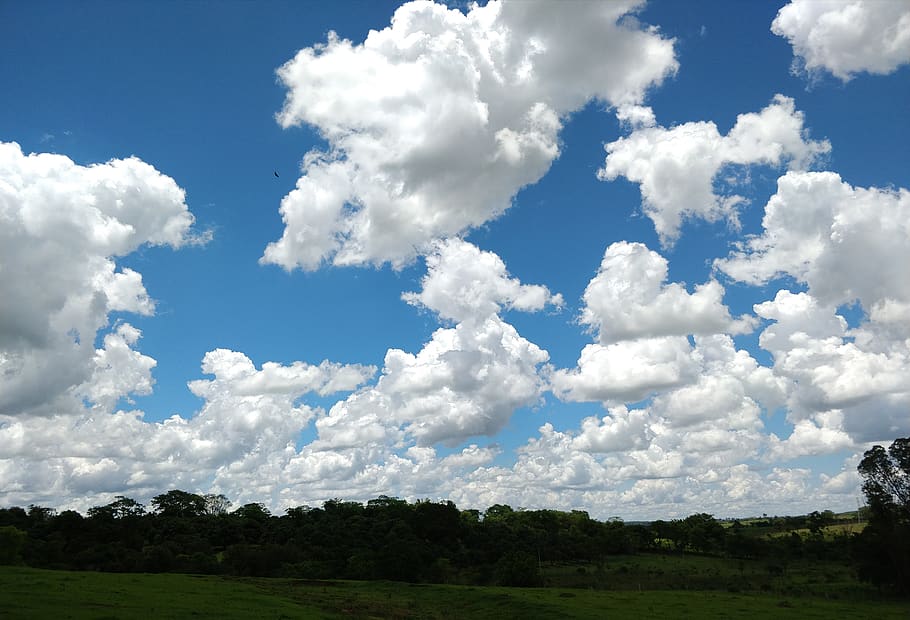 brazil, guaraçaí, sky, cloud - sky, plant, tree, beauty in nature HD wallpaper