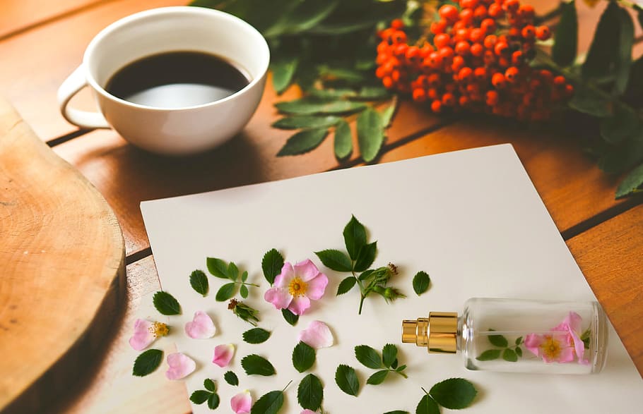 Scene with perfume, coffee and botanicals., morning, romantic, HD wallpaper