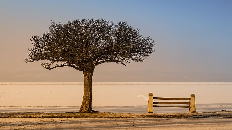 wood, pad, winter, nature, resting, water, blue, blank, sky HD wallpaper