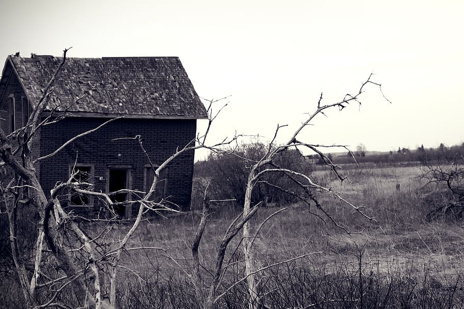 creepy, haunted, evil, dilapidated, abandoned, gloomy, shabby HD wallpaper
