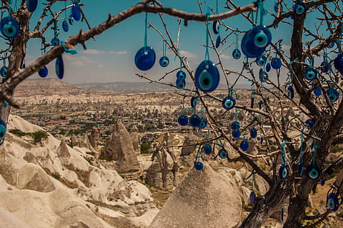 bare three with evil eye ornaments, flora, tree, plant, rock HD wallpaper